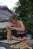 Waldfest_2011_020.jpg