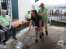 DSCN9745.JPG