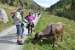 Suedtirol_2017_012.jpg