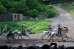 Karl_May_Festspiele_Elspe_2019_28.jpg