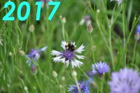 Bilder des Jahre 2017